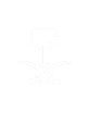 UAE